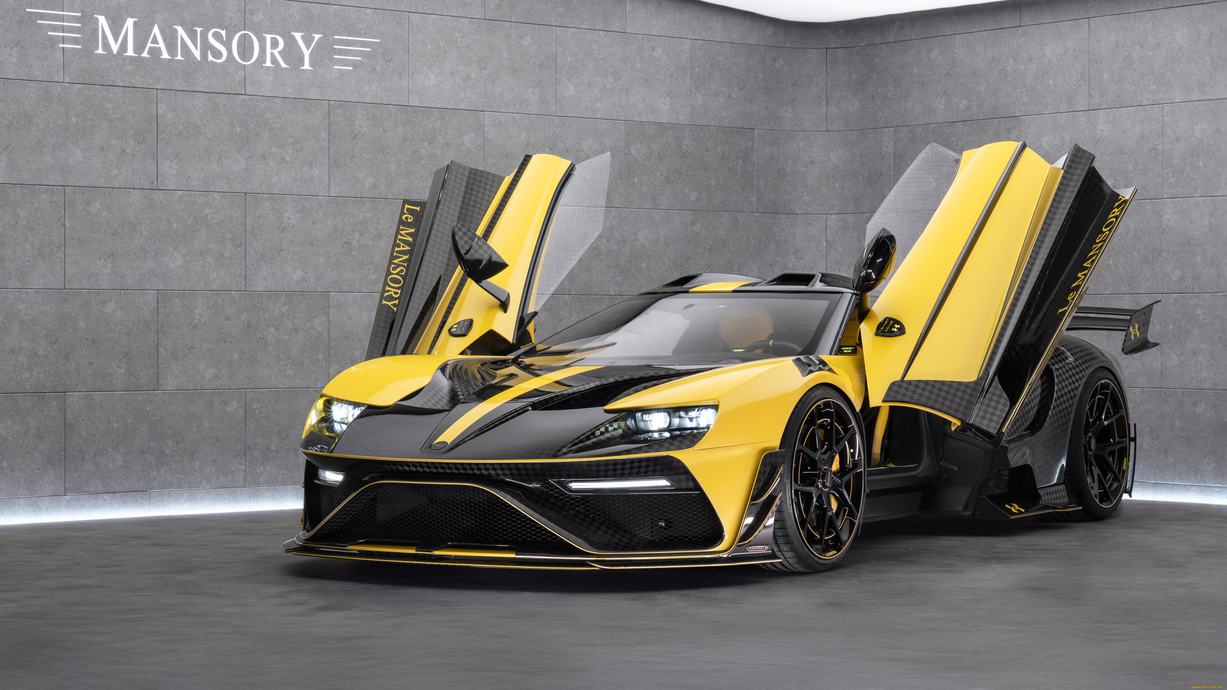 , ford, gt, under, armour, le, mansory, 2025